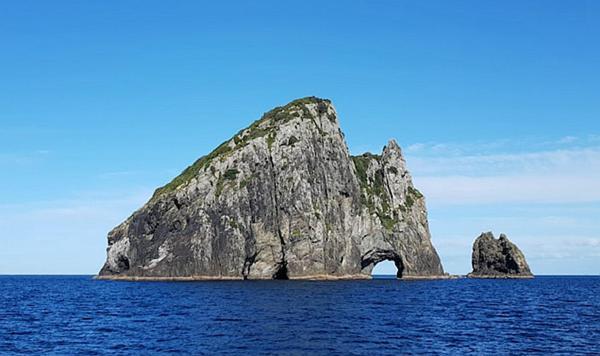 Horse Shoe Manor Paihia Εξωτερικό φωτογραφία